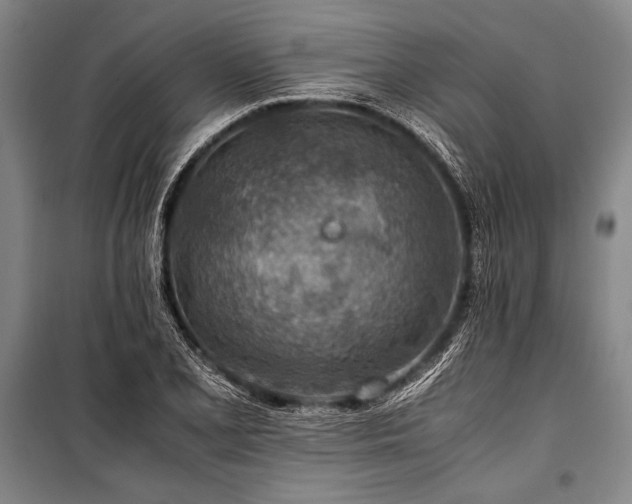 X0000101191077200806271310