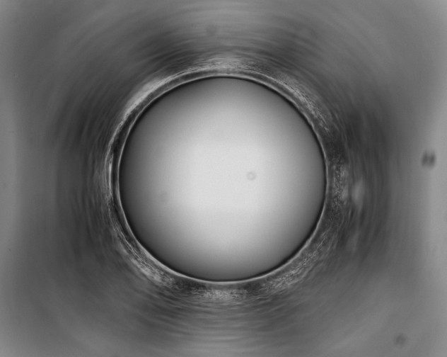 X0000101191078200806271310