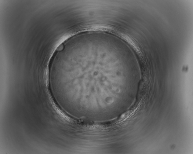 X0000101191079200806271310