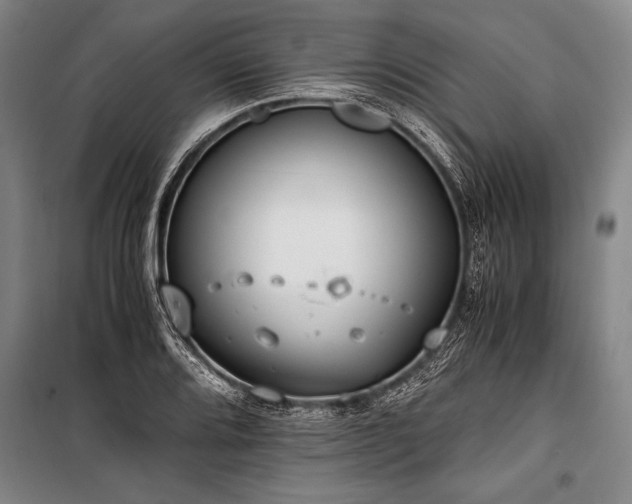 X0000101191080200806271310