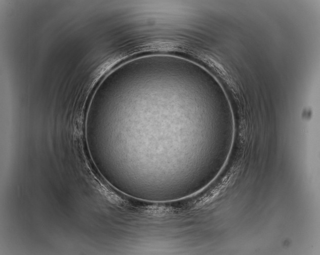 X0000101191081200806271310