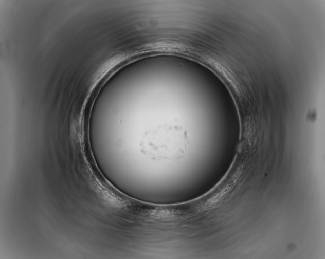 X0000101191082200806271310