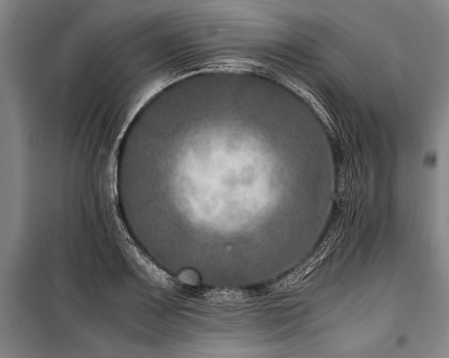 X0000101191083200806271310