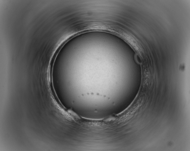 X0000101191084200806271310