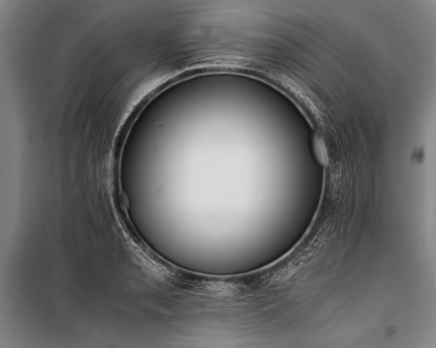 X0000101191085200806271310