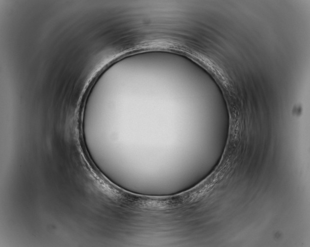 X0000101191086200806271310