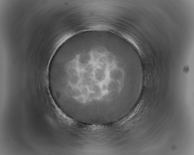 X0000101191087200806271310