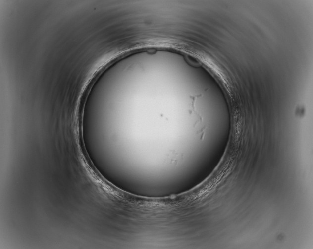 X0000101191088200806271310