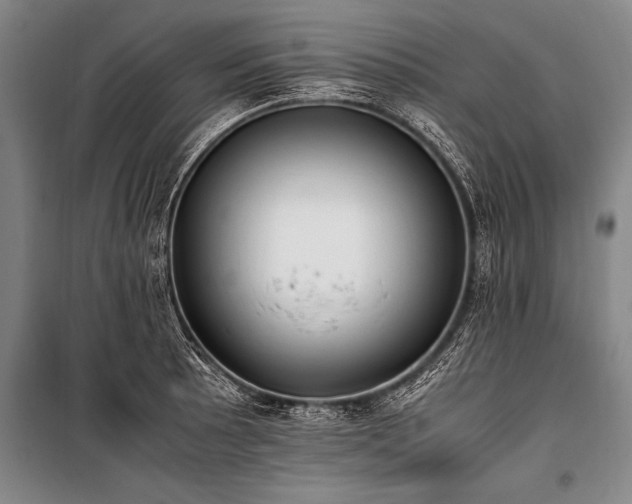 X0000101191089200806271310