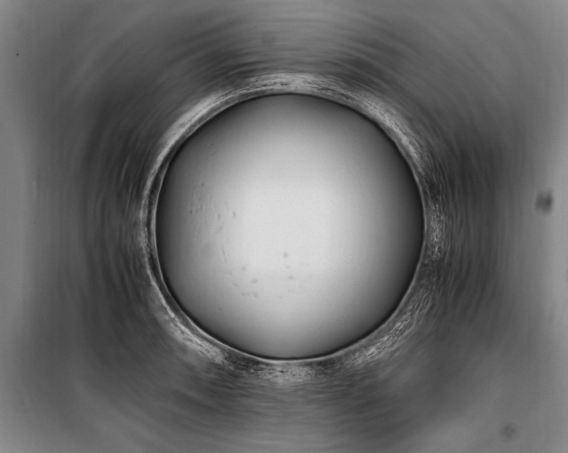 X0000101191090200806271310