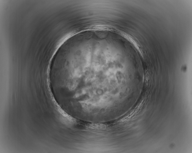 X0000101191091200806271310