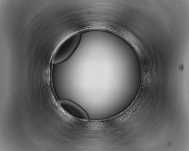 X0000101191092200806271310