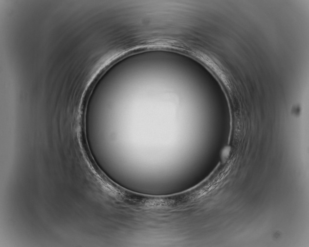 X0000101191093200806271310