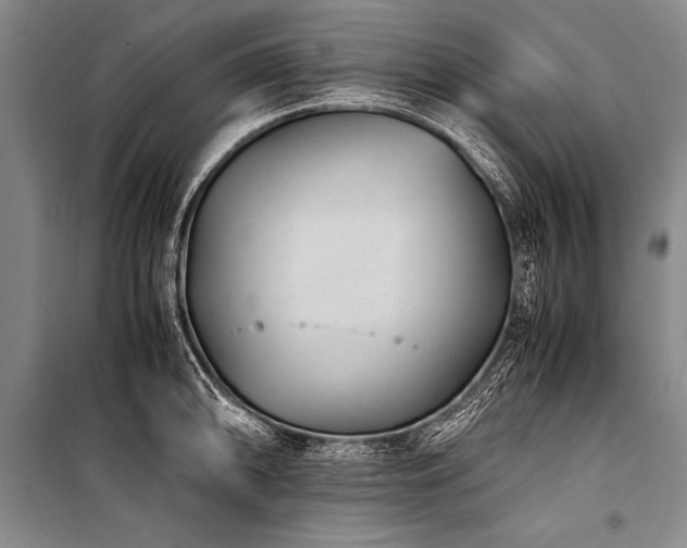 X0000101191094200806271310