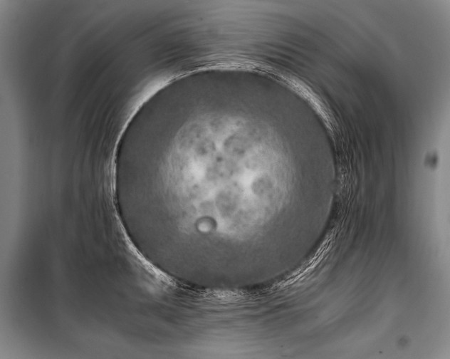 X0000101191095200806271310