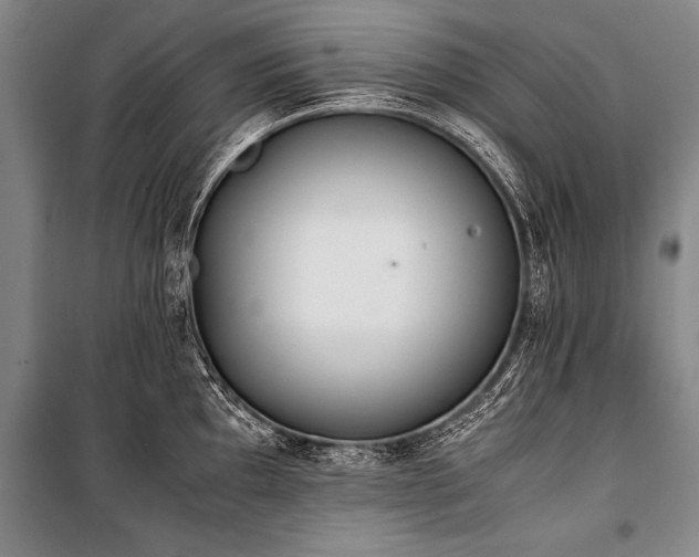 X0000101191097200806271310