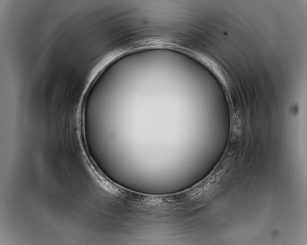 X0000101191098200806271310