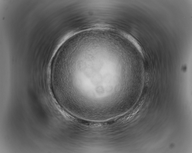 X0000101191099200806271310