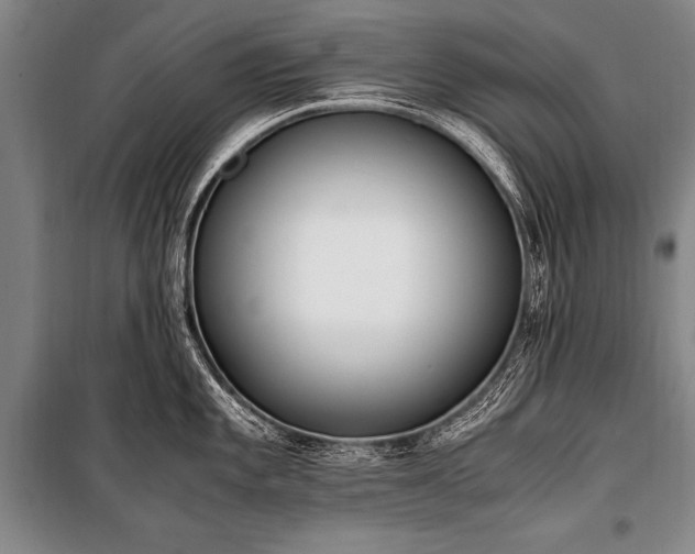 X0000101191101200806271310