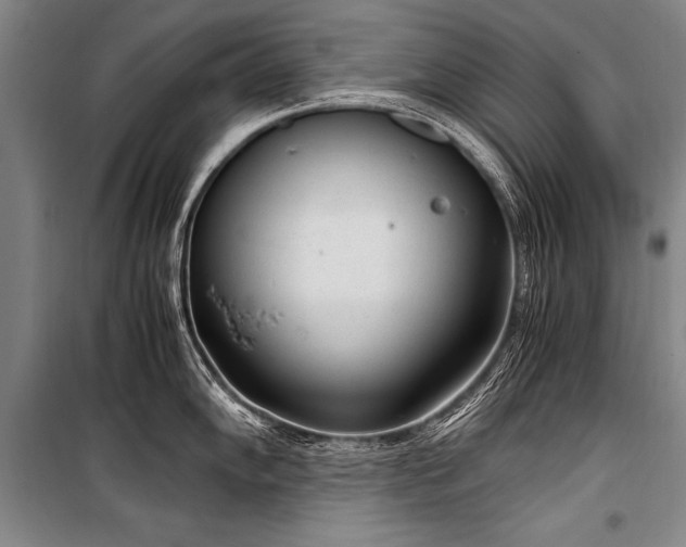 X0000101191102200806271310