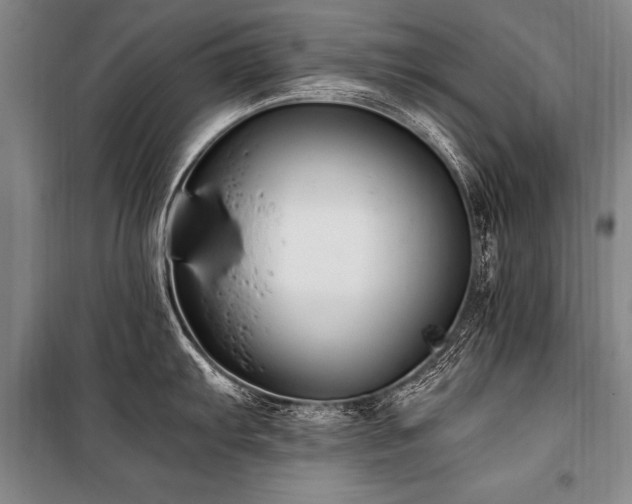 X0000101191103200806271309