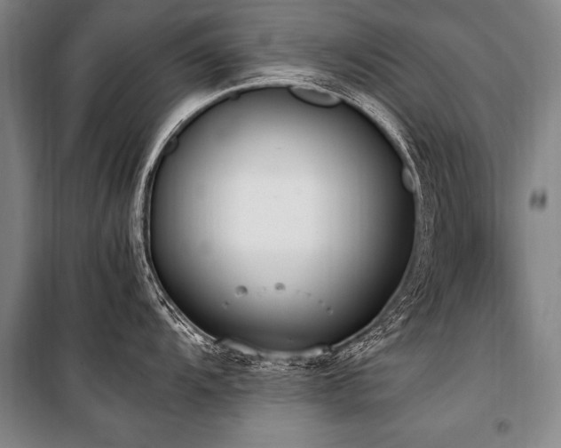 X0000101191104200806271309