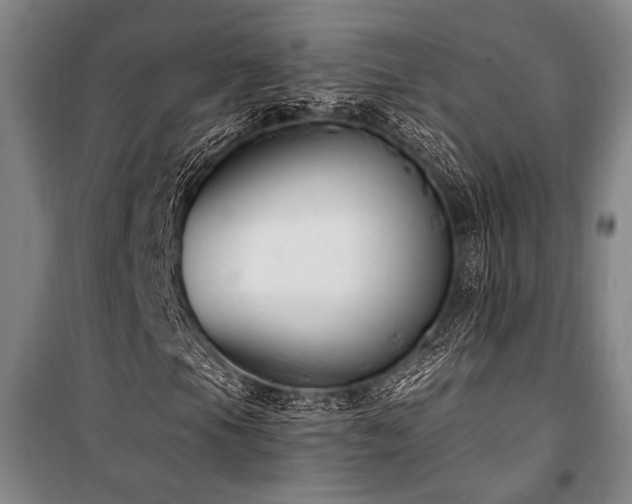 X0000101191105200806271309
