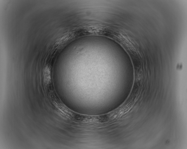 X0000101191106200806271309