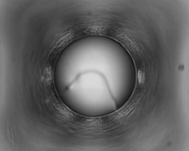 X0000101191107200806271309