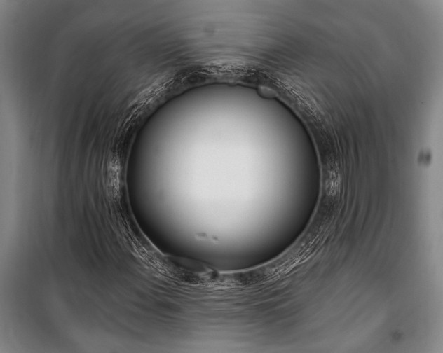 X0000101191108200806271309