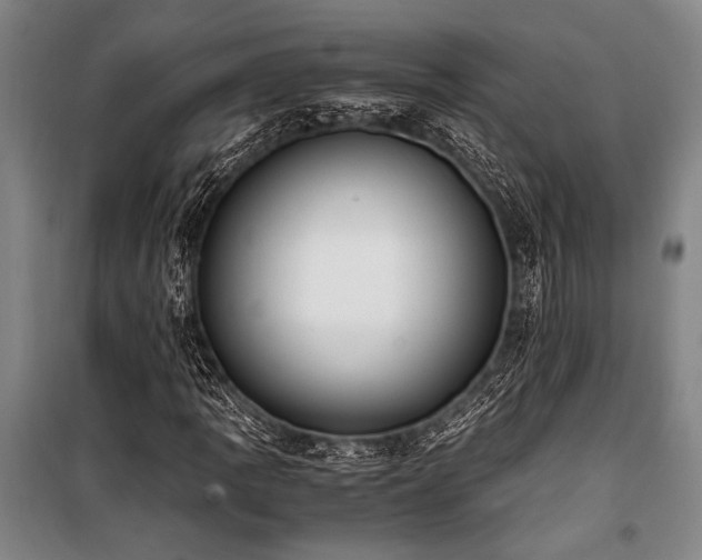 X0000101191109200806271309