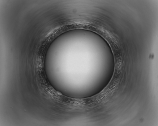 X0000101191110200806271309