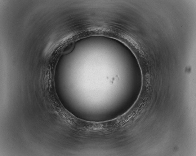 X0000101191111200806271309