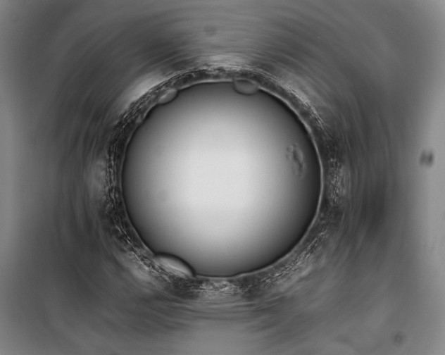 X0000101191112200806271309