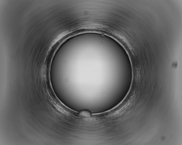 X0000101191114200806271309