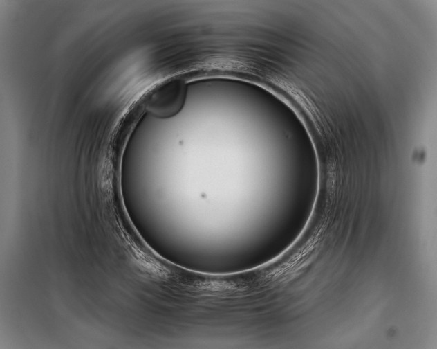 X0000101191115200806271309