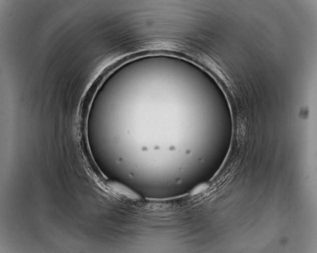 X0000101191116200806271309