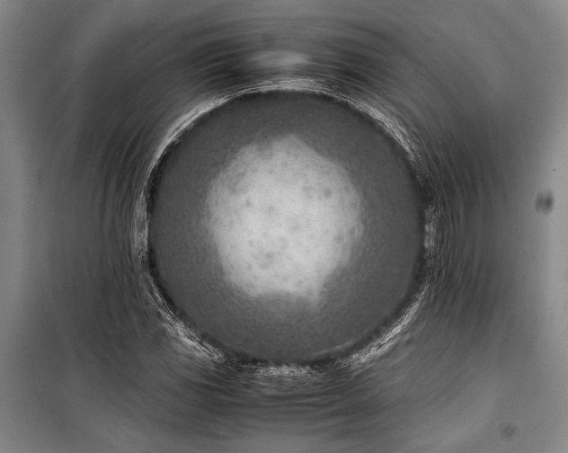 X0000101191117200806271309
