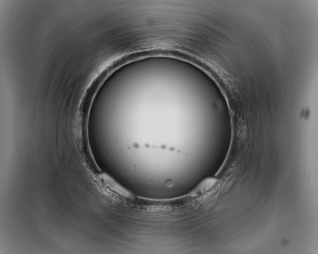 X0000101191118200806271309