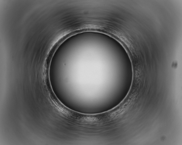 X0000101191119200806271309