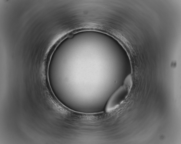 X0000101191120200806271309