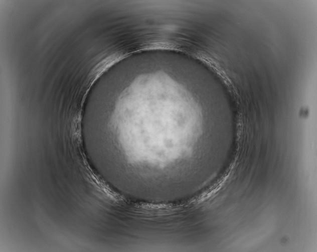 X0000101191121200806271309