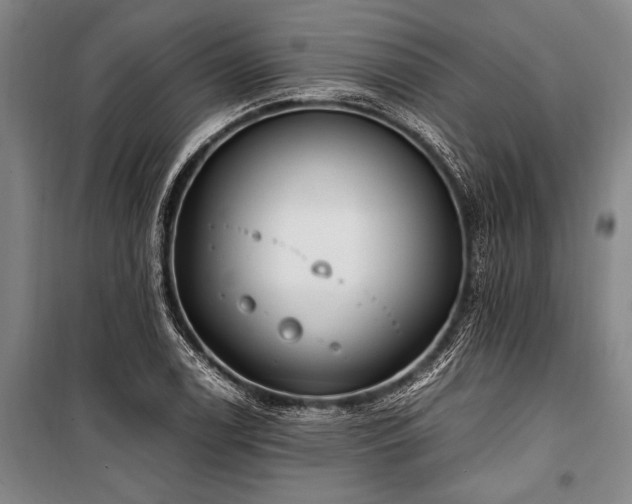 X0000101191122200806271309