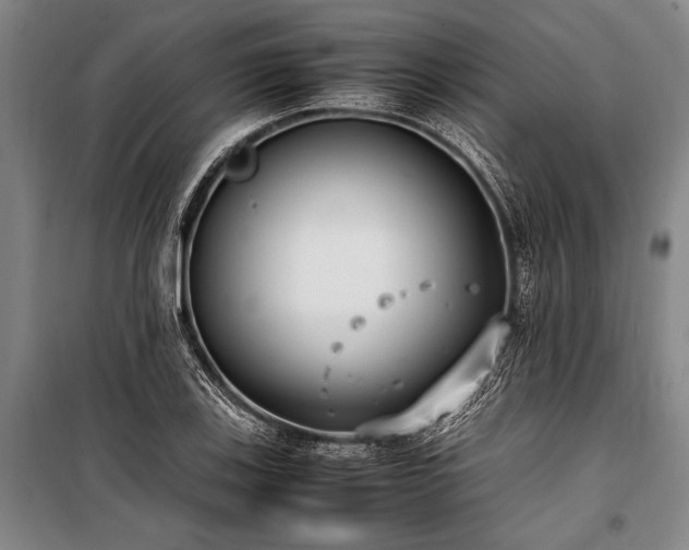 X0000101191123200806271309