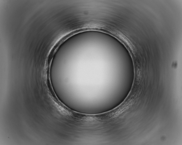 X0000101191124200806271309