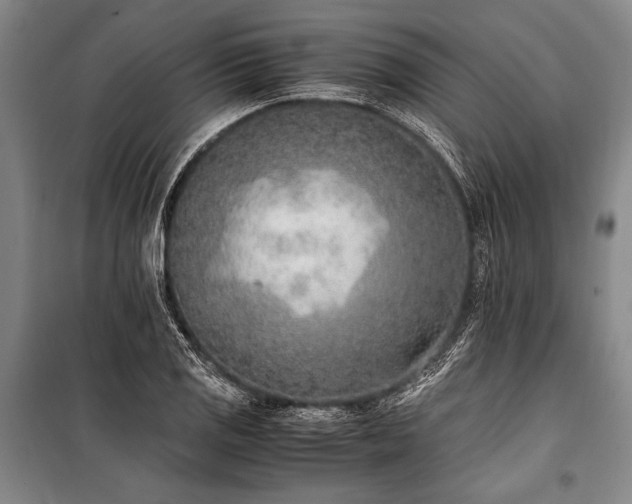 X0000101191125200806271309