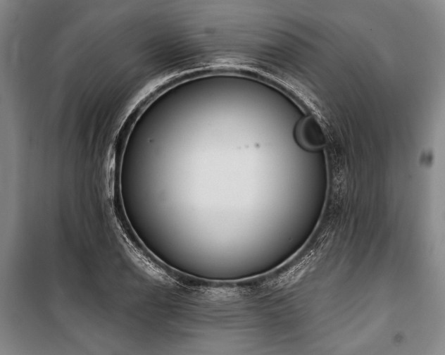X0000101191126200806271309