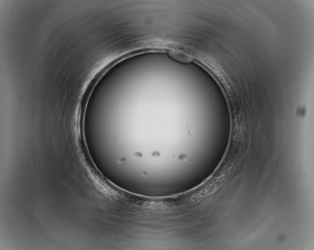 X0000101191128200806271309