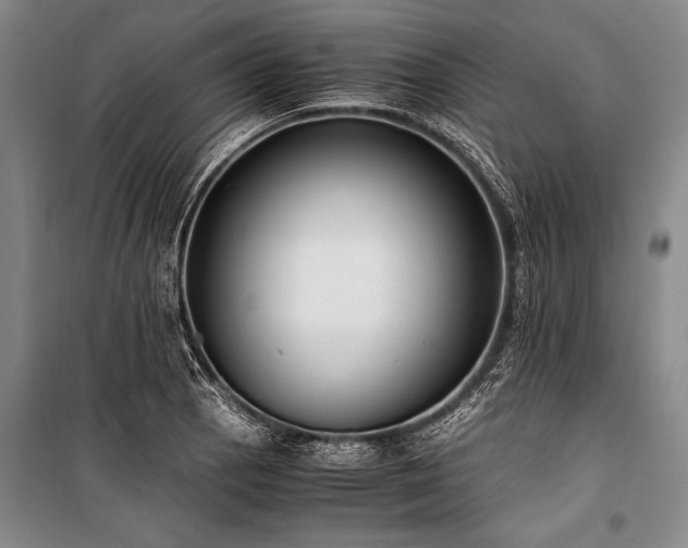 X0000101191129200806271309