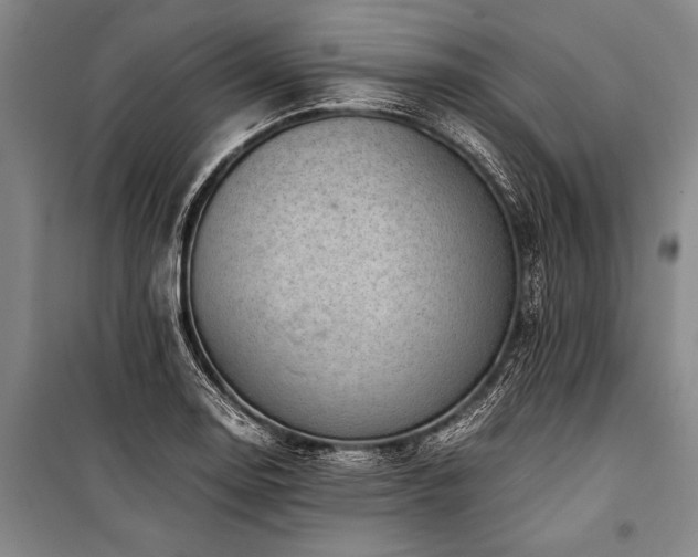 X0000101191130200806271309